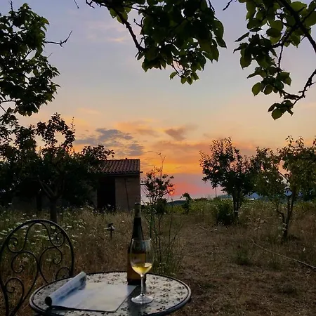 Anima Sarda Bed & Wine * Tresnuraghes