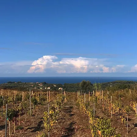 Anima Sarda Bed & Wine Panzió *