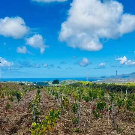 Anima Sarda Bed & Wine Tresnuraghes