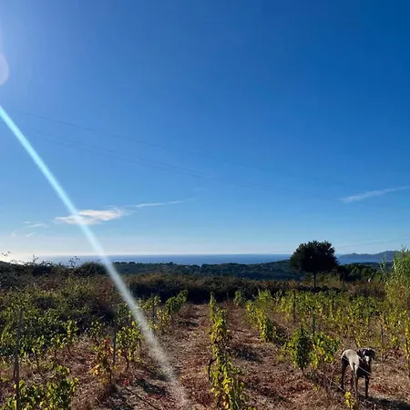 Anima Sarda Bed & Wine * Tresnuraghes