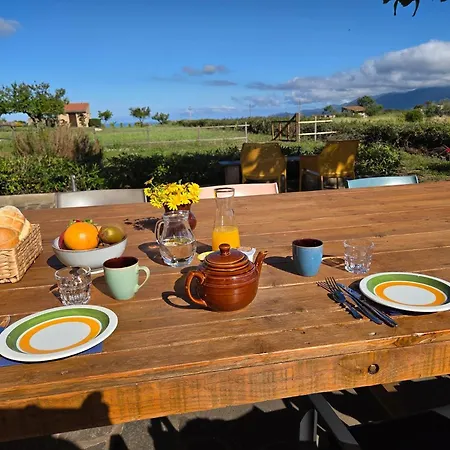 Anima Sarda Bed & Wine Bed & Breakfast Tresnuraghes