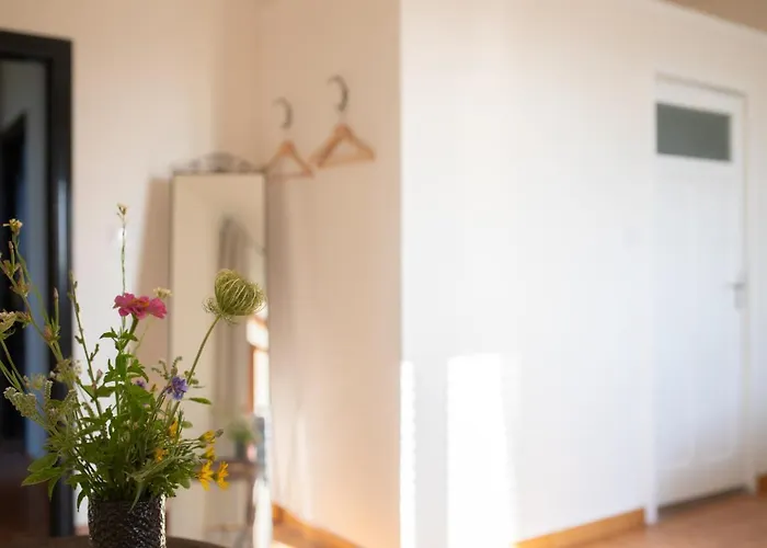 住宿加早餐酒店 Anima Sarda Bed & Wine