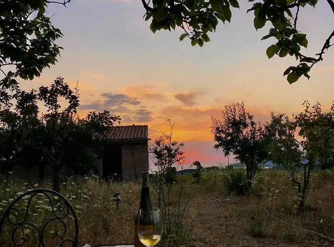 Anima Sarda Bed & Wine * 特雷斯努拉吉斯