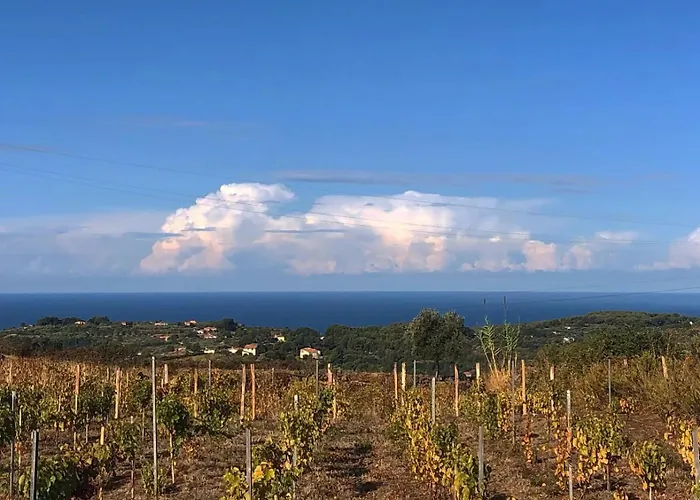 Anima Sarda Bed & Wine 住宿加早餐酒店 *