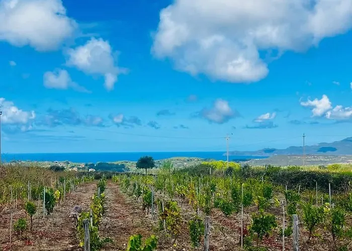 Anima Sarda Bed & Wine 特雷斯努拉吉斯