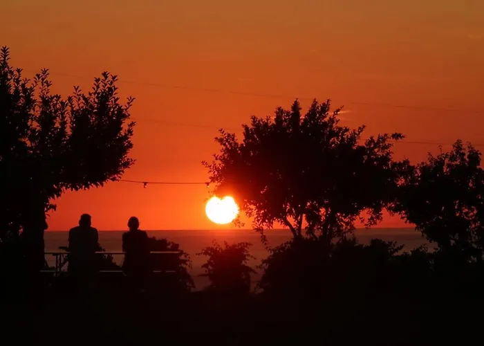 Anima Sarda Bed & Wine 住宿加早餐酒店 特雷斯努拉吉斯