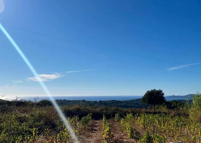 Anima Sarda Bed & Wine * 特雷斯努拉吉斯