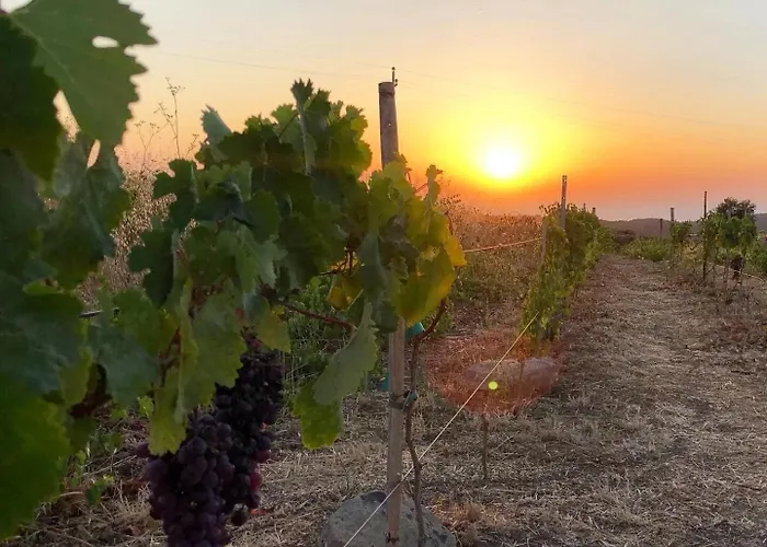 Anima Sarda Bed & Wine 住宿加早餐酒店 特雷斯努拉吉斯