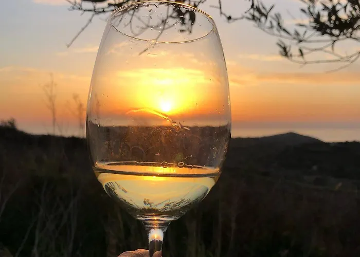 Anima Sarda Bed & Wine 住宿加早餐酒店